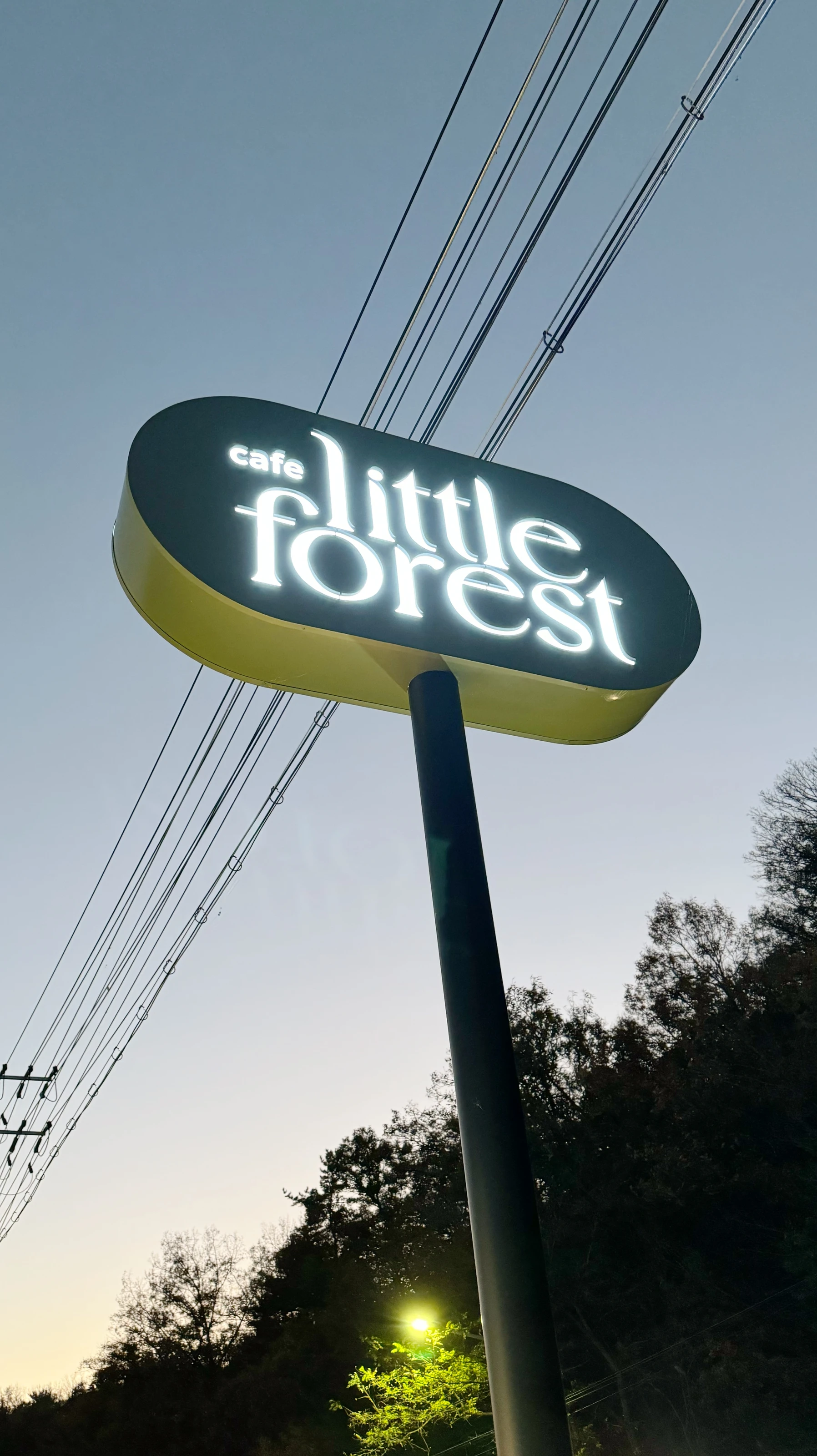 little forest 공간 사진 04